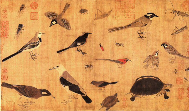 Huang Quan, artist, birds