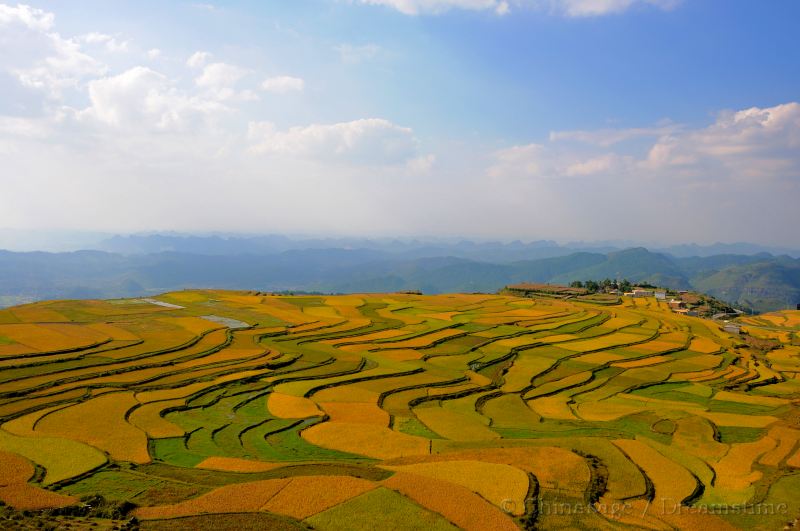 Guizhou, terraces, fields, view