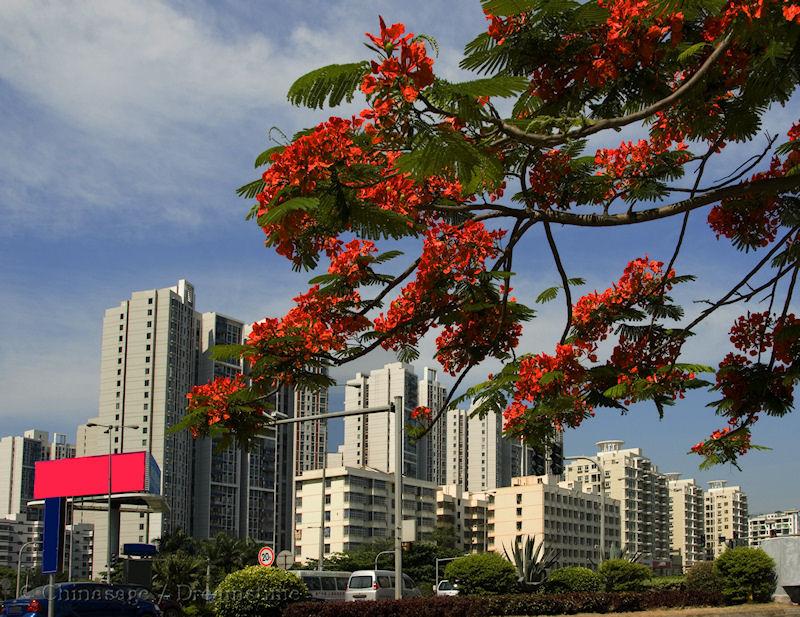 Hainan, Haikou, modern housing