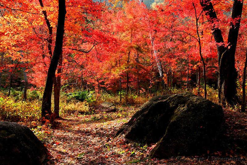 Jilin, autumn