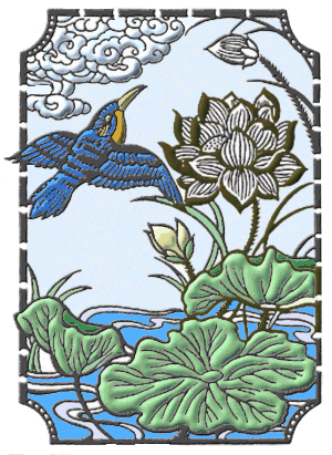 kingfisher, bird