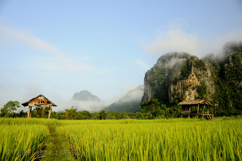 laos, rice, scenery