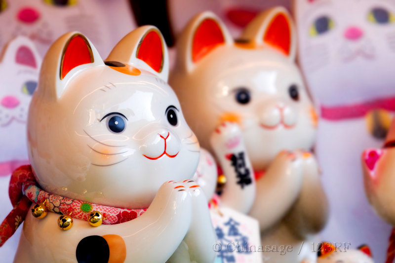 cat, luck, customs, japan, cat