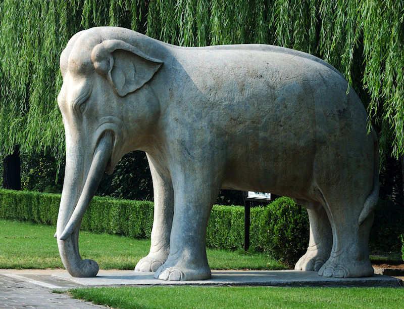 Ming dynasty, Beijing, sacred way, elephant