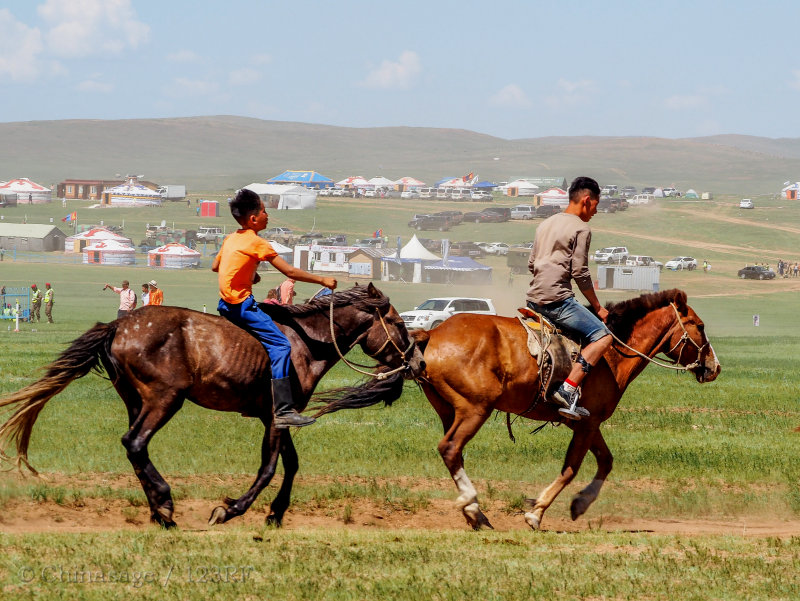 horse, people, mongolia