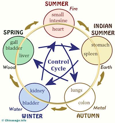 annual cycle