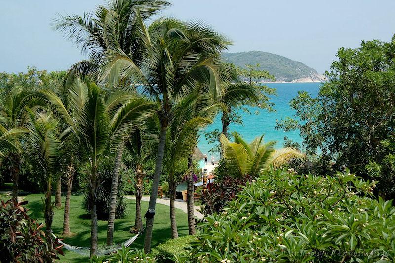 Hainan, tropical plants, coast